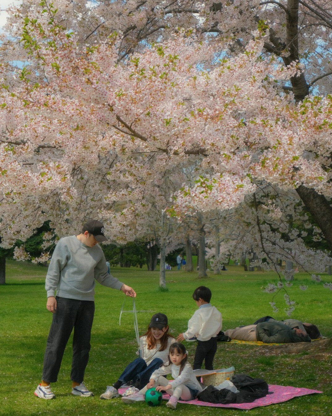 Chinese Singaporean family having a picnic in a park